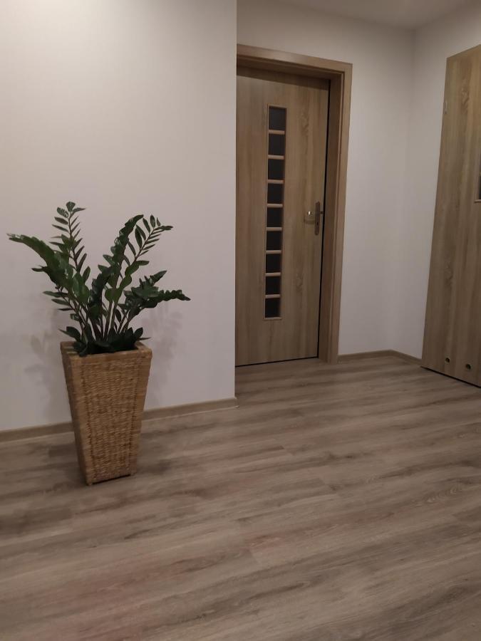 Apartament Kaola Jelenia Gora Ngoại thất bức ảnh